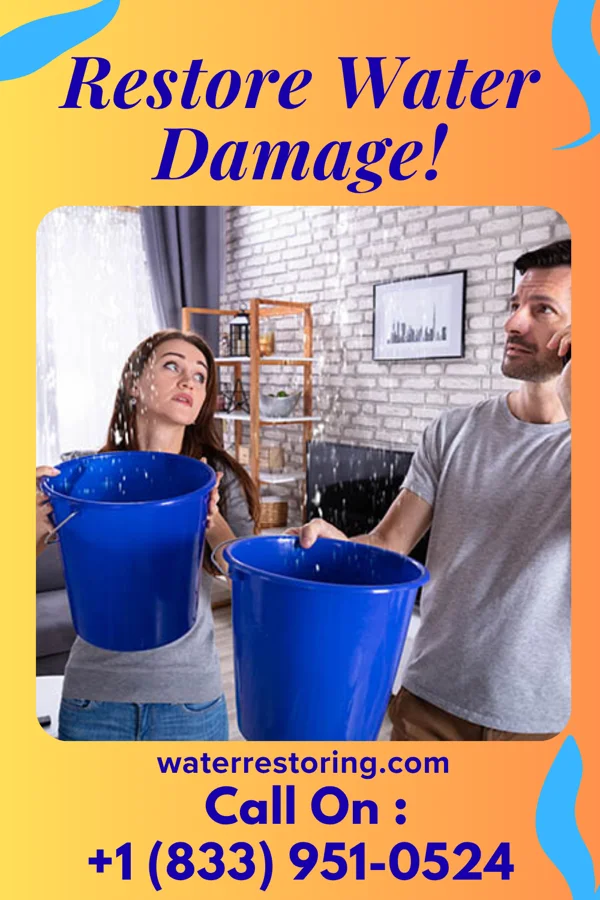 water restoration Ideal Water Repair Force St. Johns
