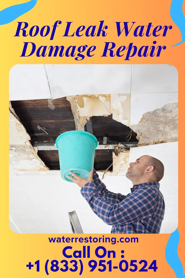 Roof Leak Water Damage Repair in St. Johns, OH