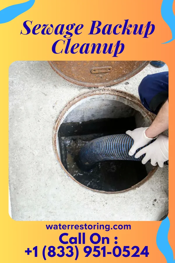 Sewage Backup Cleanup in St. Johns, OH